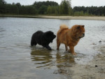 Met mama teuntje