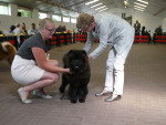 Jonge honden dag - 15maand