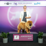 Beste puppy van het ras